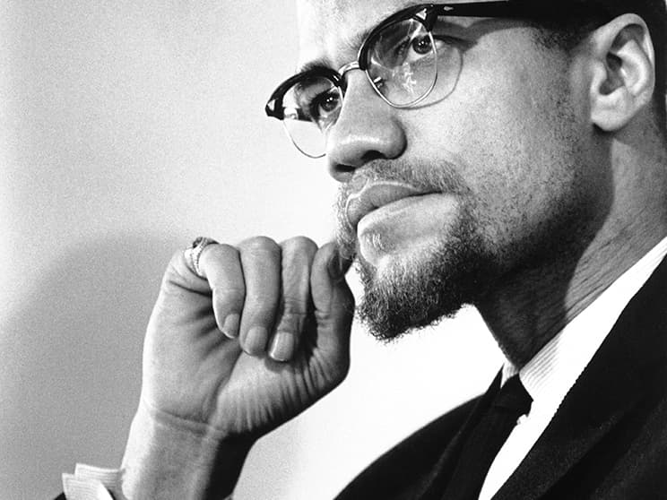 A tree symbolizing the beginning of humanity